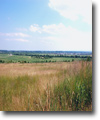 Countryside of Ukraine
