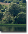 Small lake near City of Ivano-Frankivsk